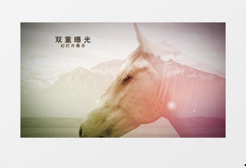 爆料视频 模板图片大全 第3张 爆料视频 模板图片大全 第3张